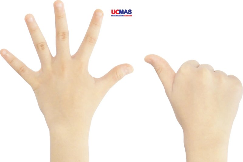 3-phuong-phap-hoc-toan-tu-duy-ucmas-finger-math-soroban-so-sanh-chi-tiet-daiquangialamahoang-org-41-2