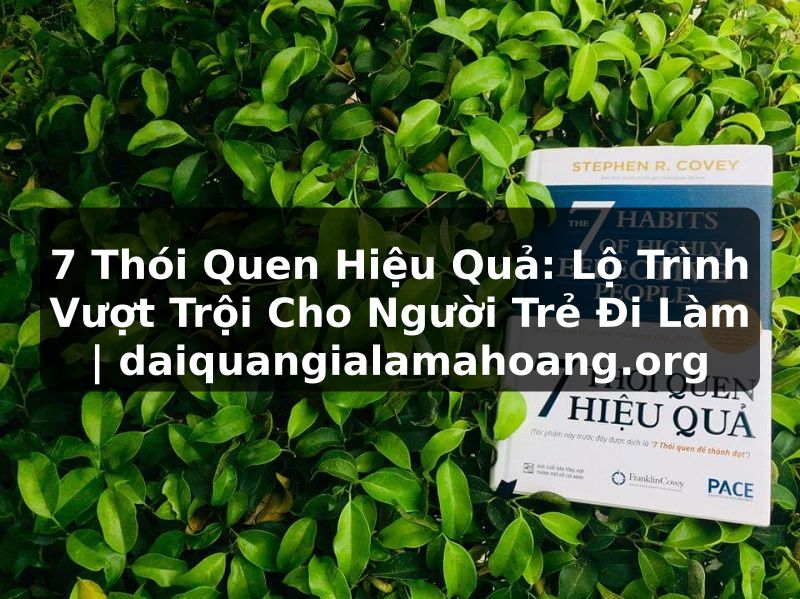 7 Thói Quen Hiệu Quả: Lộ Trình Vượt Trội Cho Người Trẻ Đi Làm | daiquangialamahoang.org