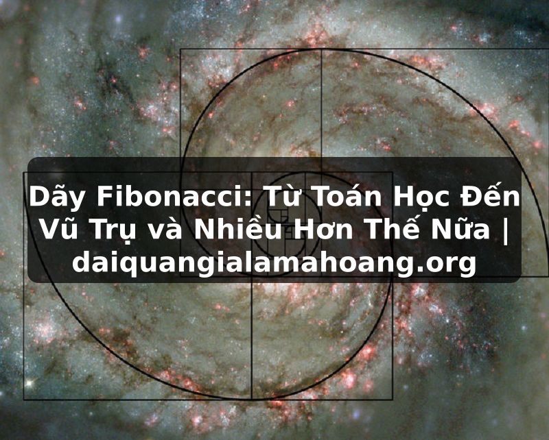Dãy Fibonacci: Từ Toán Học Đến Vũ Trụ và Nhiều Hơn Thế Nữa | daiquangialamahoang.org