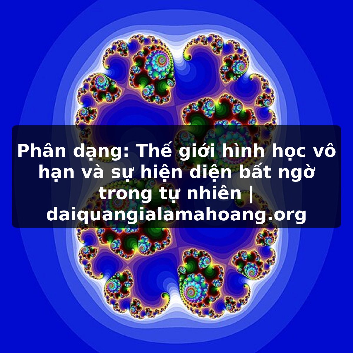 Phân dạng: Thế giới hình học vô hạn và sự hiện diện bất ngờ trong tự nhiên | daiquangialamahoang.org