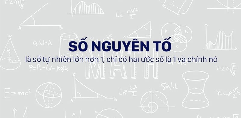 so-nguyen-to-bi-mat-dang-sau-nhung-vien-gach-nen-cua-toan-hoc-daiquangialamahoang-org-41-1