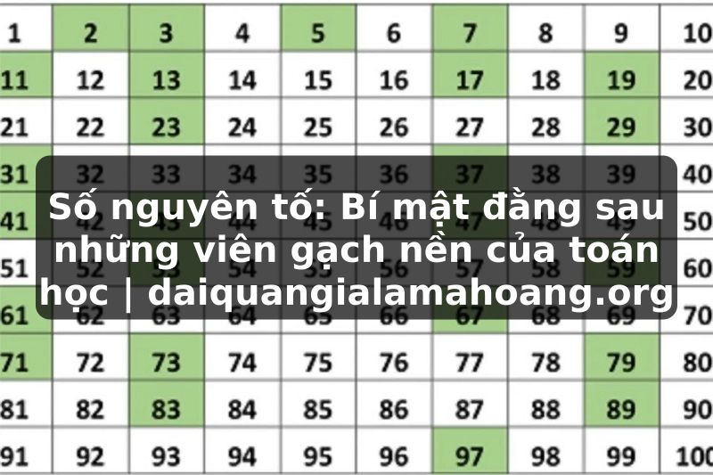 Số nguyên tố: Bí mật đằng sau những viên gạch nền của toán học | daiquangialamahoang.org