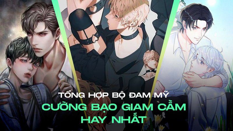 tong-hop-dam-my-cuong-bao-giam-cam-danh-gia-chi-tiet-va-goi-y-doc-daiquangialamahoang-org-25-1